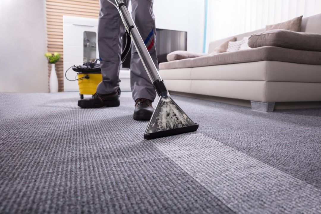 Carpet Cleaning Near Me | Carpet Clean Are Your Local Experts!